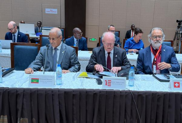 Audience diplomatique à Yaoundé entre Mohamed Bemba Meguett et le sénateur roumain Sorin-Mihai Cîmpeanu