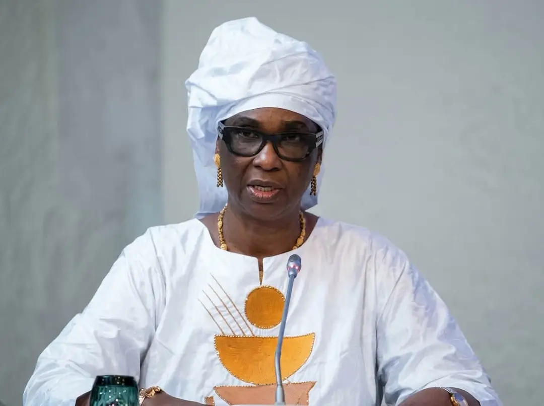 Francophonie :la Mauritanie bénéficie d'une  position de carrefour géopolitique qui fait sa légitimité pour fédérer un espace en pleine mutation.  Entre l'Afrique et le monde arabe ,la Mauritanie est à la fois africaine, sahélienne et arabe. Cette identit