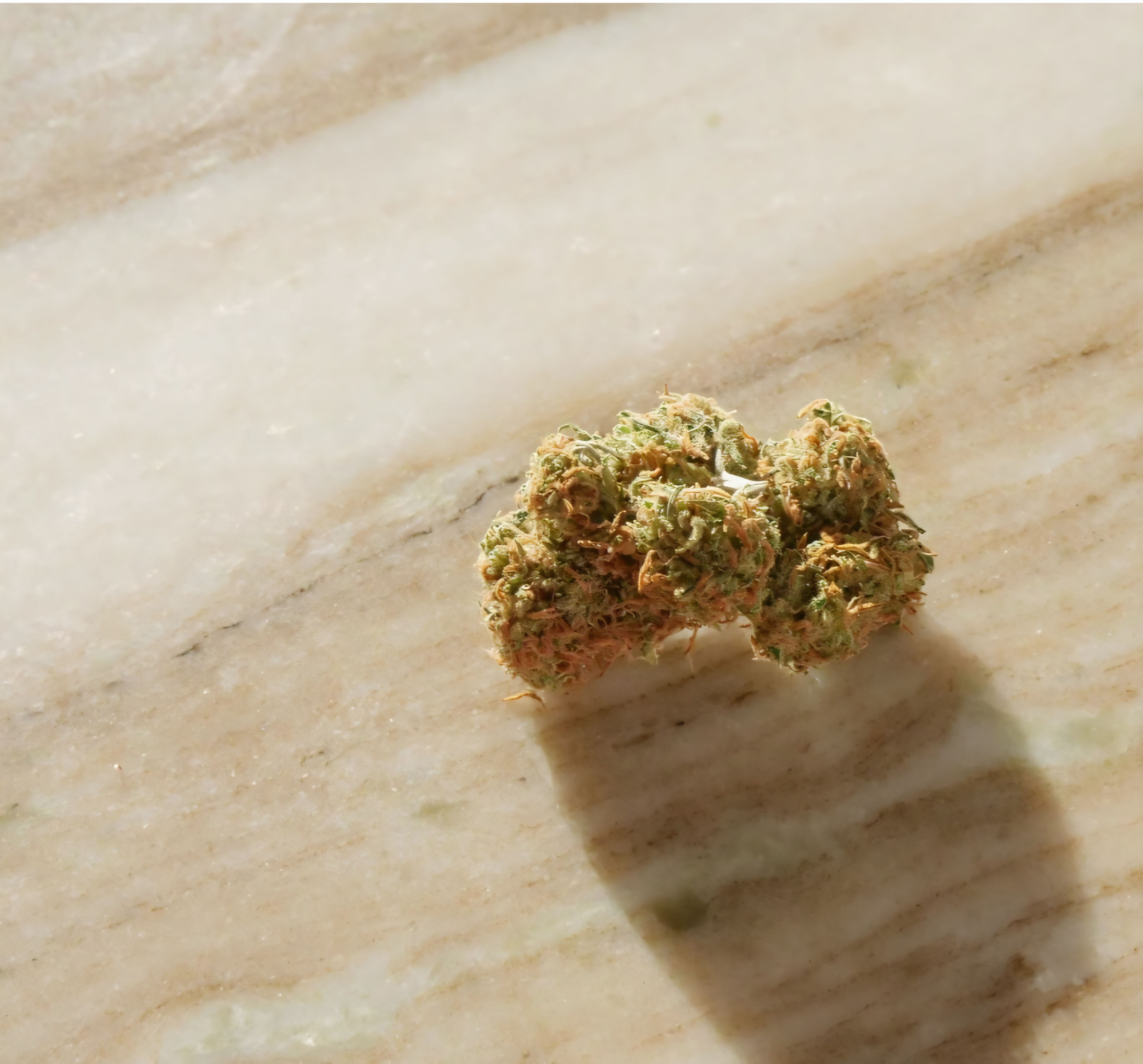 Kush : L’horreur chimique qui ronge l’Afrique de l’Ouest.