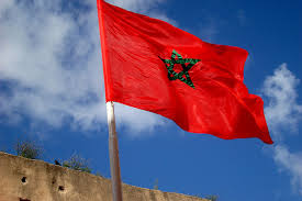 Le Maroc enregistre son premier cas de la variole du singe