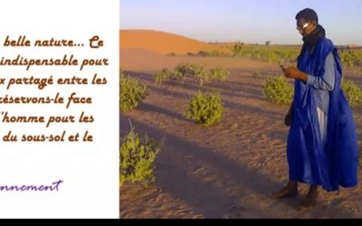 Des ordures sous protection