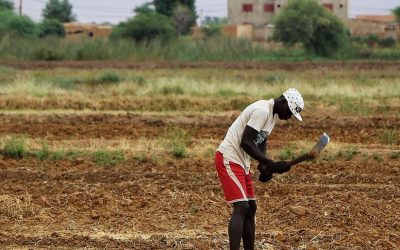 Mauritanie : le gouvernement tente de désamorcer la bombe foncière de la vallée
