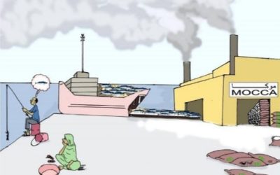 À qui appartient le poisson ?