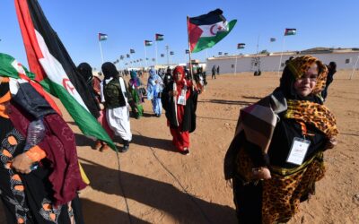 France:Un pas de plus vers la reconnaissance de la souveraineté du Maroc sur le Sahara occidental