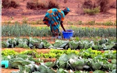 Ghazouani aux cadres du Gorgol : il n’est pas nécessaire de confisquer des terres à un citoyen qui les cultivait