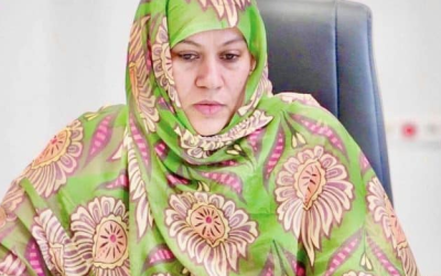 Mint Mouknass présente à la presse les grandes lignes du projet de décret régissant l’obtention des permis numérique de construire