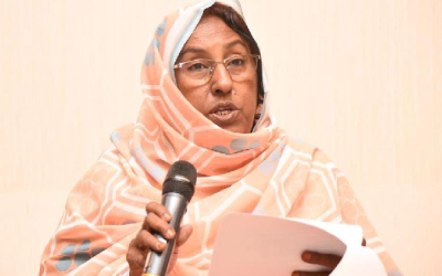 : Représentation des femmes dans le dialogue national : Plus de 100 femmes écrivent au Président