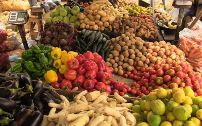La situation de l’approvisionnement du marché en Mauritanie est stable et rassurante, dixit le Patron des patrons