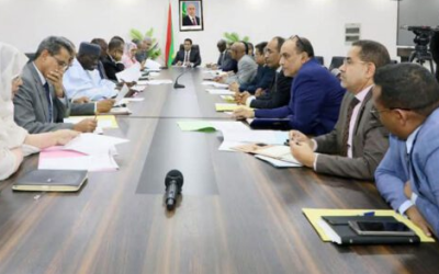 Ould Diay : la promotion de la production nationale représente une priorité stratégique e