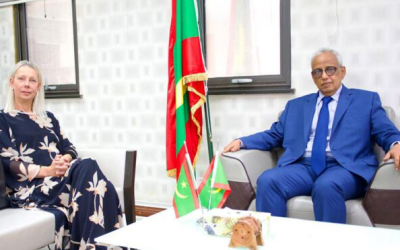 La coopération entre la Mauritanie et la BAD au centre de discussions entre Ould Cheikh Sidiya et Malinne Blomberg