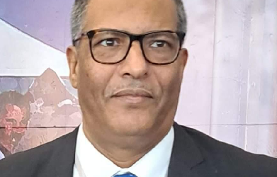 Réforme de la justice en Mauritanie : L’expert en droits de l’homme Sidi Mohamed Cheina promu